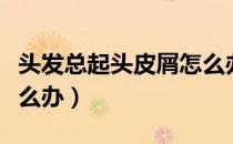 头发总起头皮屑怎么办呢（头发总起头皮屑怎么办）