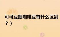 可可豆跟咖啡豆有什么区别（可可豆和咖啡豆是一种东西吗？）