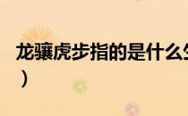 龙骧虎步指的是什么生肖（龙骧虎步打一生肖）