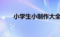 小学生小制作大全（小学生小制作）
