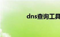 dns查询工具（dns查询）