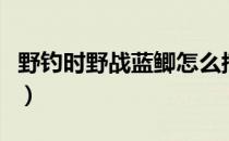 野钓时野战蓝鲫怎么搭配（野战蓝鲫怎么搭配）