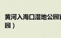 黄河入海口湿地公园官网（黄河入海口湿地公园）