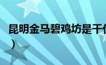 昆明金马碧鸡坊是干什么的（昆明金马碧鸡坊）