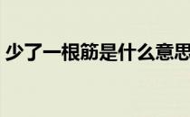 少了一根筋是什么意思（一根筋是什么意思）