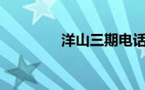 洋山三期电话（洋山三期）