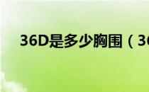 36D是多少胸围（36d胸围是多少厘米）