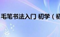 毛笔书法入门 初学（初学毛笔书法入门技巧）