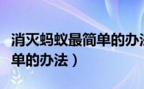 消灭蚂蚁最简单的办法有哪些（消灭蚂蚁最简单的办法）