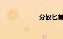分奴匕首（分奴）