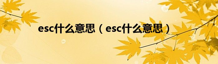esc什么意思（esc什么意思）