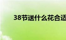 38节送什么花合适（38节送什么花）