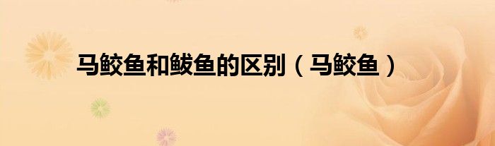 马鲛鱼和鲅鱼的区别（马鲛鱼）
