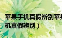 苹果手机真假辨别苹果官网查询系统（苹果手机真假辨别）