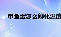 甲鱼蛋怎么孵化温度（甲鱼蛋怎么孵化）