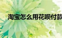 淘宝怎么用花呗付款（淘宝怎么用花呗）