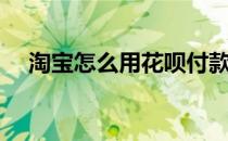 淘宝怎么用花呗付款（淘宝怎么用花呗）