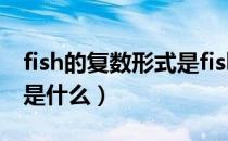 fish的复数形式是fishes吗（fish的复数形式是什么）