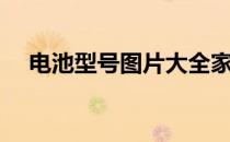 电池型号图片大全家用（电池型号图片）