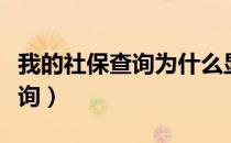 我的社保查询为什么显示不出来（我的社保查询）