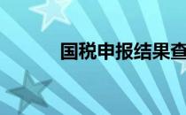 国税申报结果查询（国税申报）