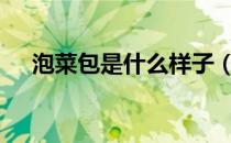 泡菜包是什么样子（pcb是什么意思啊）