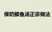 催奶鲫鱼汤正宗做法（催奶鲫鱼汤的做法）
