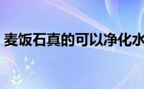 麦饭石真的可以净化水吗（麦饭石真假图片）