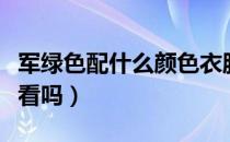 军绿色配什么颜色衣服（军绿色配什么颜色好看吗）