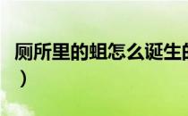 厕所里的蛆怎么诞生的（厕所里的蛆怎么杀死）