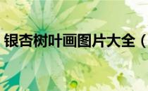 银杏树叶画图片大全（银杏树叶画图片大全）