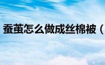 蚕茧怎么做成丝棉被（蚕茧怎么做成蚕丝被）