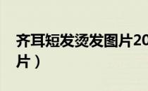 齐耳短发烫发图片2020年（齐耳短发烫发图片）