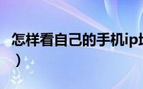 怎样看自己的手机ip地址（怎么看手机ip地址）