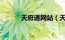 天府通网站（天府通网上充值）