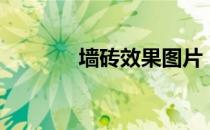 墙砖效果图片（墙砖效果图）