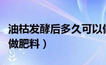 油枯发酵后多久可以做肥料（油枯发酵多久能做肥料）