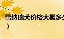雪纳瑞犬价格大概多少钱一只（雪纳瑞犬价格）