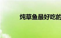 炖草鱼最好吃的做法（炖草鱼）