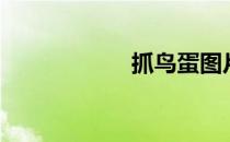 抓鸟蛋图片（抓鸟）
