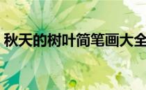 秋天的树叶简笔画大全（秋天的树叶简笔画）