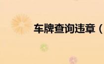 车牌查询违章（车牌查询车主）