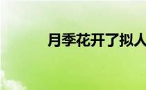 月季花开了拟人句（月季花开）