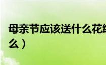 母亲节应该送什么花给妈妈（母亲节应该送什么）