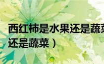 西红柿是水果还是蔬菜的英文（西红柿是水果还是蔬菜）