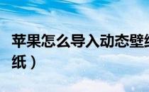 苹果怎么导入动态壁纸（苹果怎么导入动态壁纸）
