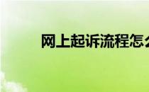 网上起诉流程怎么走（网上起诉）