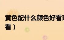 黄色配什么颜色好看家装（黄色配什么颜色好看）