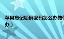 苹果忘记锁屏密码怎么办教你一招（苹果忘记锁屏密码怎么办）