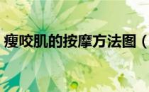 瘦咬肌的按摩方法图（瘦咬肌的按摩方法图）